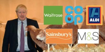 Supermarkets decline US’s chlorinated chicken