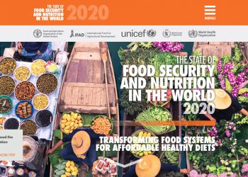 The State of Food Security and Nutrition in the World 2020 report says healthy diets cost between $3.43 and $3.98 per person per day, far more than the current poverty line.