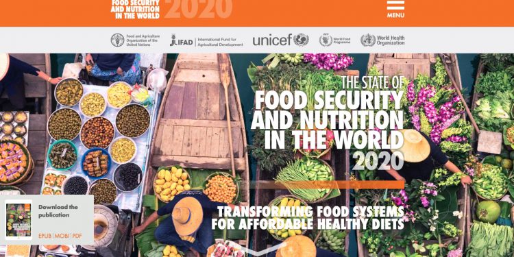 The State of Food Security and Nutrition in the World 2020 report says healthy diets cost between $3.43 and $3.98 per person per day, far more than the current poverty line.