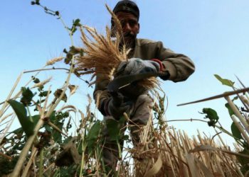 Saudi Arabia is boosting its domestic production © Mohamed Hwaity/AFP/Getty