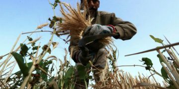 Saudi Arabia is boosting its domestic production © Mohamed Hwaity/AFP/Getty