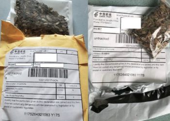 Alabama Department of Agriculture Seed Picture