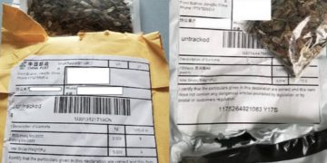 Alabama Department of Agriculture Seed Picture