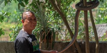 Wildlife Snake breeder Hua Chaojiang from Guangxi, who has been growing his business since the 1990s. ‘I’m losing money on everything’ © Zhu Yinghao