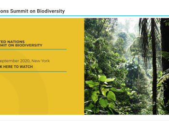 healthy biodiversity