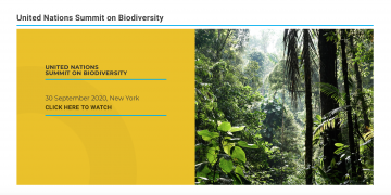 healthy biodiversity