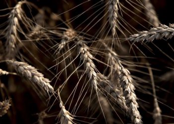 Pic: Daniel Acker/Bloomberg