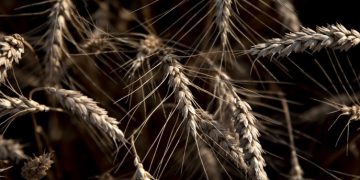 Pic: Daniel Acker/Bloomberg