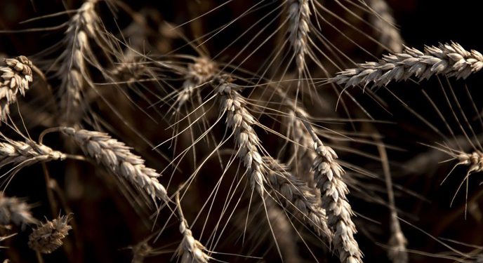 Pic: Daniel Acker/Bloomberg