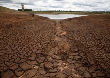 displaced people by 2050