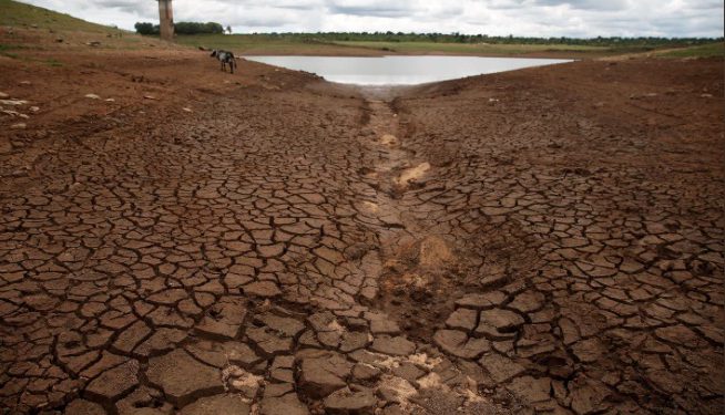 displaced people by 2050