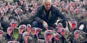 Christmas turkey - immigration