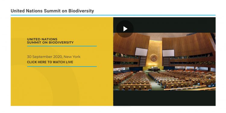 #epicfail over UN biodiversity