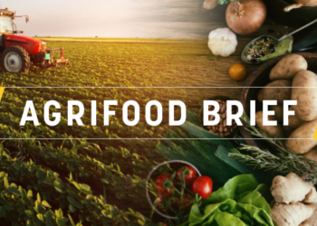 AgriFood Brief