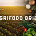 AgriFood Brief