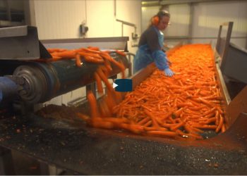 EU reducing food waste