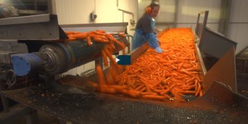 EU reducing food waste