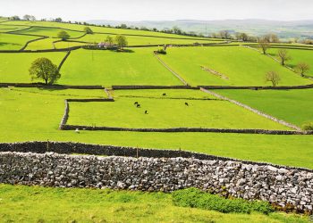 Britain can farm better