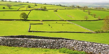 Britain can farm better