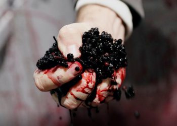 Hungarian red berries