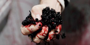 Hungarian red berries