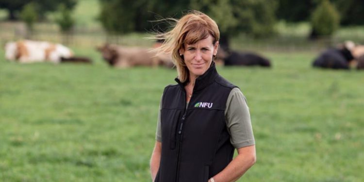 National Farmers Union President Minette Batters