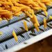 Stockpiling pasta boosts Italy’s foodmakers