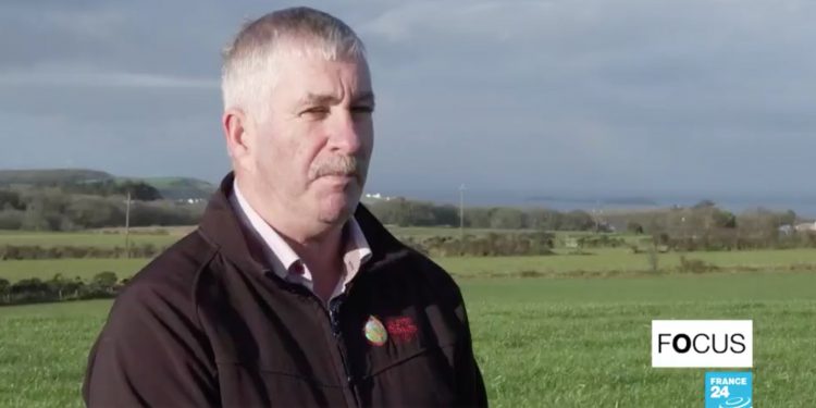 Veterinary Export Heath Certificates