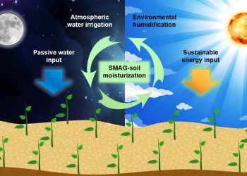 Self-watering soil could transform crop production