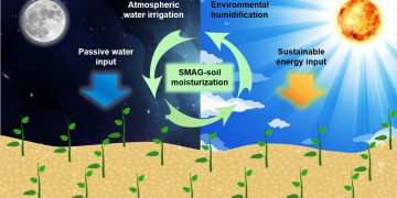 Self-watering soil could transform crop production