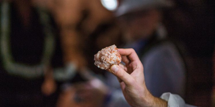 Rally in food prices is stoking fertiliser demand