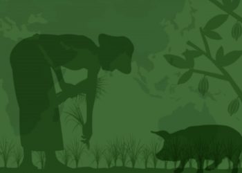 2021 declared a Super Year for food and land use