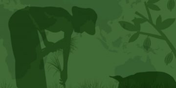 2021 declared a Super Year for food and land use