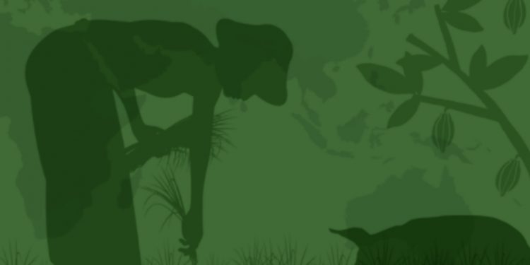 2021 declared a Super Year for food and land use