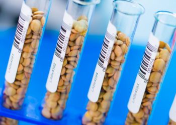 EU Commission at odds with Parliament over GM