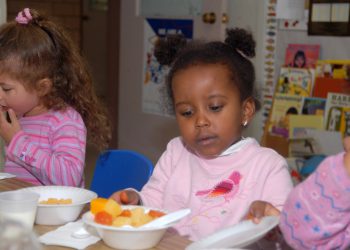 UK food systems research bags £24 million in funding