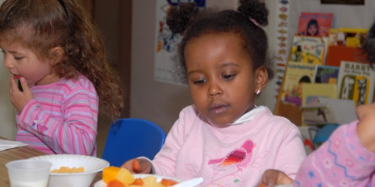 UK food systems research bags £24 million in funding