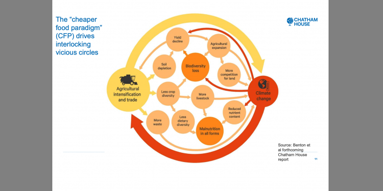 Cheap food is no longer a tenable economic model, academic tells Oxford Farming Conference
