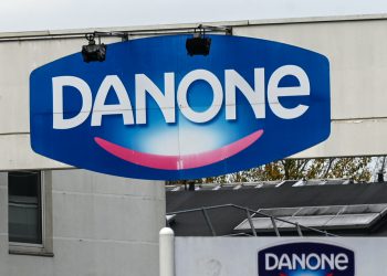 Can an activist change Danone management?