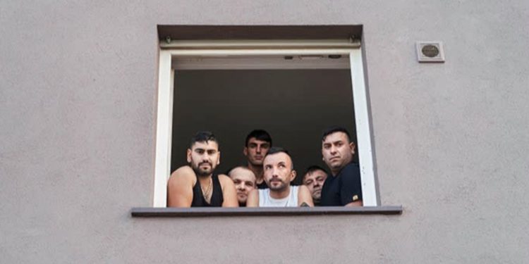 Germany: the human cost of cheap meat