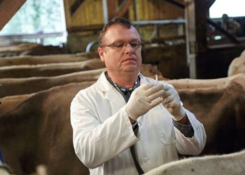 Overusing antibiotics in meat is bad for humans