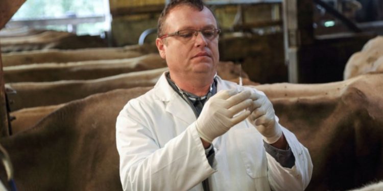 Overusing antibiotics in meat is bad for humans