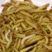 Yellow grub becomes EU’s first insect food