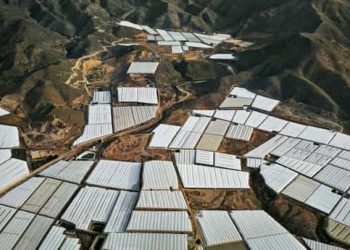 Bill Gates discusses sustainability