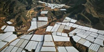 Bill Gates discusses sustainability