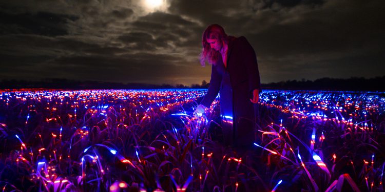 BioLumic technology inspires Davos art installation
