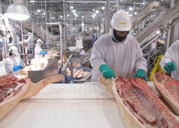 Covid committee investigates Tyson, Smithfield, JBS