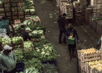 Food prices rising globally