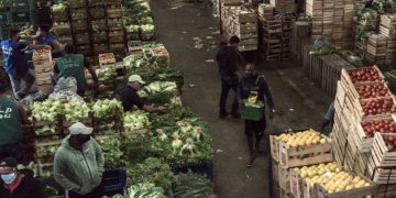 Food prices rising globally