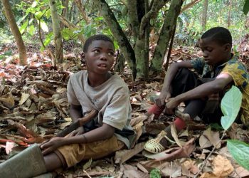 Former child slaves take US class action against chocolate giants